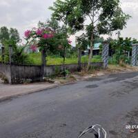 Chính chủ cho thuê 1.010m2 đất vị trí đẹp (có 200m thổ cư) tại Kp Hòa Thuận 1, TT. Cần Giuộc