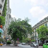 BÁN LIỀN KỀ TT1 KĐT SUDICO MỸ ĐÌNH SÔNG ĐÀ - PHẠM HÙNG  93M, 4 TẦNG, 1 HẦM - 36 TỶ