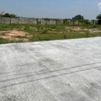 9 nền thổ cư liền kề Bàu Muồng, Hòa Khánh Tây, Đức Hòa dt 175m2 giá 970tr /nền