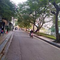 Bán nhà ngõ Từ Hoa view Hồ Tây, mặt đường ô tô ra vào sát phố, DT 170m2, MT 11m, giá 300tr/m2