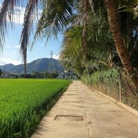 Lô góc, đường rộng- Vĩnh Thạnh Nha Trang. - Vùng quê Yên Bình.