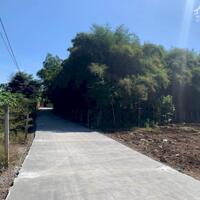 Cần bán đất Trảng Bom cách HCM 40km, đường bê tông quy hoạch đất ở, cách sân bay Long Thành 30 phút