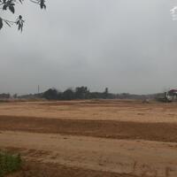 ĐẦUCHUYỂN NHƯỢNG 15.000M2 ĐẤT CỤM CÔNG NGHIỆP HỒ SƠN, HỮU LŨNG, LẠNG SƠN