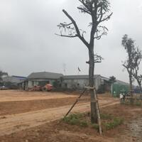 ĐẦUCHUYỂN NHƯỢNG 15.000M2 ĐẤT CỤM CÔNG NGHIỆP HỒ SƠN, HỮU LŨNG, LẠNG SƠN