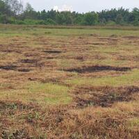 BÁN GẤP 1000M2 ĐẤT SHR GIÁ RẺ TẠI PHỨ HỮU- NHƠN TRẠCH
