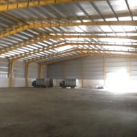  CHO THUÊ KHO XƯỞNG 500M² – 1.000M² – 10.000M² TẠI PHÚ THỊ, GIA LÂM – KẾT CẤU CHUẨN CÔNG NGHIỆP 