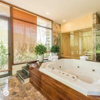 Cần tiền bán gấp căn biệt thự Hoàng Oanh, kinh doanh tốt, Flamingo Đại Lải. LH 0936193286
