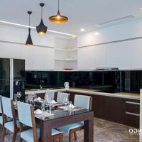 Cần tiền bán gấp căn biệt thự Hoàng Oanh, kinh doanh tốt, Flamingo Đại Lải. LH 0936193286