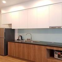 Cho thuê căn hộ dịch vụ tại Trịnh Công Sơn, Tây Hồ, 45m2, 1PN, đầy đủ nội thất mới hiện đại, ban công