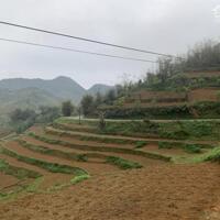 BÁN ĐẤT HOMESTAY NOONG LUÔNG, MAI CHÂU, HOÀ BÌNH