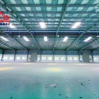 Cho thuê nhà xưởng khuôn viên riêng biệt hơn 1ha, KCN Nhơn Trạch, giá 920tr/tháng.