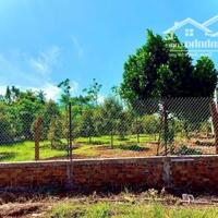 1000m2 đất sổ sẵn, view suối ngay khu dân cư hiện hữu. SHR