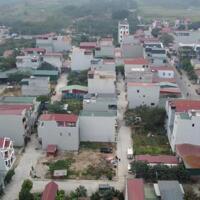 Bán đất Đấu giá Nam Cường, phụng thượng