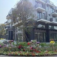 Bán căn shophouse 2 mặt tiền đẹp nhất Eco Central Park Vinh, giữa ngã tư đại lộ Hùng Vương và Âu Cơ