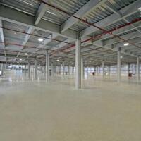 Bán xưởng 10000m2 KCN Long Hậu, Huyện Cần Giuộc, Long An