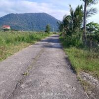 Bán 10.000m2 đất Mặt Tiền đường Lê Duẩn Nối Dài xã Hàm Hiệp, về phía ga Mương Mán