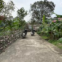Chính chủ cần bán gấp mảnh đất thổ cư đường ô tô đỗ cửa tại thôn Vân Dương xã Hòa Phong, Mỹ Hào, Hưng Yên