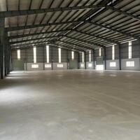 Cho thuê nhà xưởng KCN tại Tân Phước, Tiền Giang