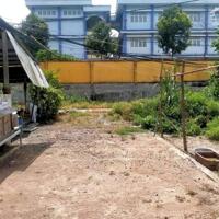 BÁN LÔ ĐẤT ĐẸP 85M2 -GIÁ 1 TỶ 250- TÂN THẠNH ĐÔNG - GIÁ ĐẦU TƯ