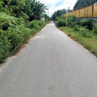 BÁN LÔ ĐẤT ĐẸP 85M2 -GIÁ 1 TỶ 250- TÂN THẠNH ĐÔNG - GIÁ ĐẦU TƯ