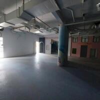 Cho thuê Shophouse Midtown M5, Phú Mỹ Hưng, Quận 7, 1 trệt+1lầu. Vị trí đẹp