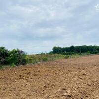 BÁN 7000M2, ĐẤT SỔ ĐỎ, QUY HOẠCH ĐẤT Ở, ĐƯỜNG LỚN, GIÁ CHỈ 4,4Tỷ (600k/m2)
