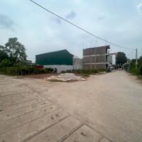 Cần bán lô góc đấu giá thôn 5, Xuân Quan, TT. Văn Giang, Hưng Yên.