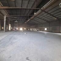 Cho Thuê Xưởng Thuận An. Dt: 4000m Giá: 260tr giấy tờ đầy đủ