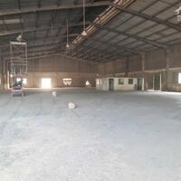 Cho Thuê Xưởng Thuận An. Dt: 4000m Giá: 260tr giấy tờ đầy đủ