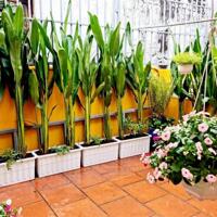 [SÁT THẢO CẦM VIÊN] Nhà bán Bình Thạnh-Nguyễn Ngọc Phương 5x20 2 lầu [nhỉnh 17 tỷ]