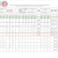 Đất nền ven biển sổ đỏ thổ cư 100%, giá chỉ từ 6 triệu/m2 tại Tuy Phong - Bình Thuận.