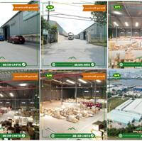 NƠI HÀNG HÓA ĐƯỢC BẢO QUẢN NHƯ Ở NHÀ – CHO THUÊ KHO DIỆN TÍCH ĐA DẠNG TỪ 50-100-1000m2