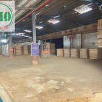 Cho thuê nhà xưởng 7.500m2 bao gồm cả máy móc cửa xẻ gỗ ở KCN Đồng Xoài, Bình Phước
