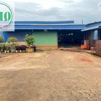 Cho thuê nhà xưởng 7.500m2 bao gồm cả máy móc cửa xẻ gỗ ở KCN Đồng Xoài, Bình Phước