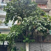 106m2 toạ lạc hẻm xe hơi đường Hai Bà Trưng ngay chợ Tân Định Quận 1 giá chỉ 32.5 tỷ