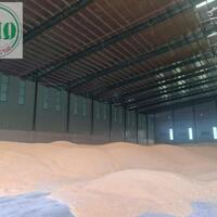 Cho thuê cụm kho diện tích 100.000m2 Tại KCN Phú Mỹ, TT. Phú Mỹ, Bà Rịa - Vũng Tàu