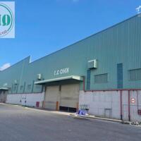 Cho thuê cụm kho diện tích 100.000m2 Tại KCN Phú Mỹ, TT. Phú Mỹ, Bà Rịa - Vũng Tàu