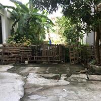 Chính Chủ Cần Bán đất Trần Lãm Tp thái bình