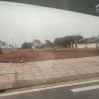 BÁN ĐẤT ĐẤU GIÁ HỒNG TIẾN – MẶT ĐƯỜNG 47M – ĐỐI DIỆN KCN YÊN BÌNH 3