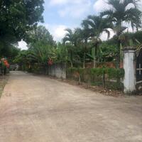 Đất Bình Dương chỉ 300tr/250m2
