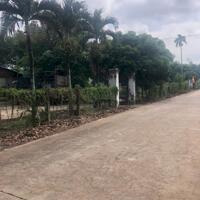Đất Bình Dương chỉ 300tr/250m2