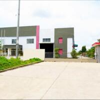 Cho thuê xưởng 2400m2 KCN An Phước, Xã An Phước, Huyện Long Thành, Đồng Nai