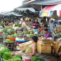 ĐẤT NGỢP GIÁ RẺ 201M2 THỔ CƯ SHR GẦN SÁT KCN TÂN QUAN GIÁ CHỈ 290 TRIỆU BAO SỔ