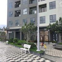 View SG- 2PN2WC- tầng trung- Bcons Greenview- Đối diện Go Dĩ An- sẵn hợp đồng cho thuê- giá chỉ 1.7 tỷ BTP sang tên