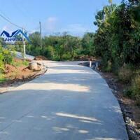 Bán đất vườn xã Phú Ngọc Huyện Định Quán diện tích 41500m2 giá 16 tỷ