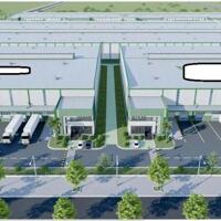 Cho thuê nhà xưởng diện tích 145.000 m2 trong KCN An Phước, Long Thành, Đồng NAi