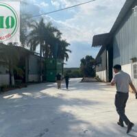 Cho thuê 2,5ha có 8.000m2 nhà xưởng và máy móc tại Phú Giáo, Bình Dương