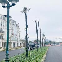 Gia đình cần tiền bán LÔ GÓC Louis City 3 Đại Mỗ, 120m, 5 tầng, 2 thoáng trước sau, vỉa hè rộng, giá 60 tỷ (có tl).