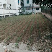 HÀNG HIẾM 300M2 FULL ĐẤT Ở, GIÁ NHỈNH 3 TỶ