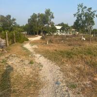 bán đất gần biển 5x20, 60m thổ cư, tân phước, tx lagi, bình thuận. 550 triệu